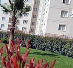 شوقه پلاس لایف هەولێر